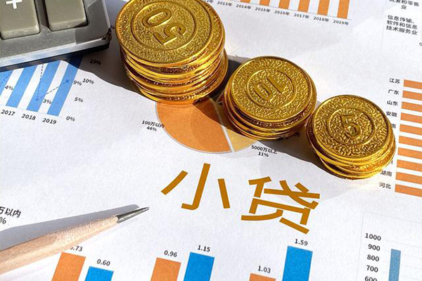 成都新都区地区短借